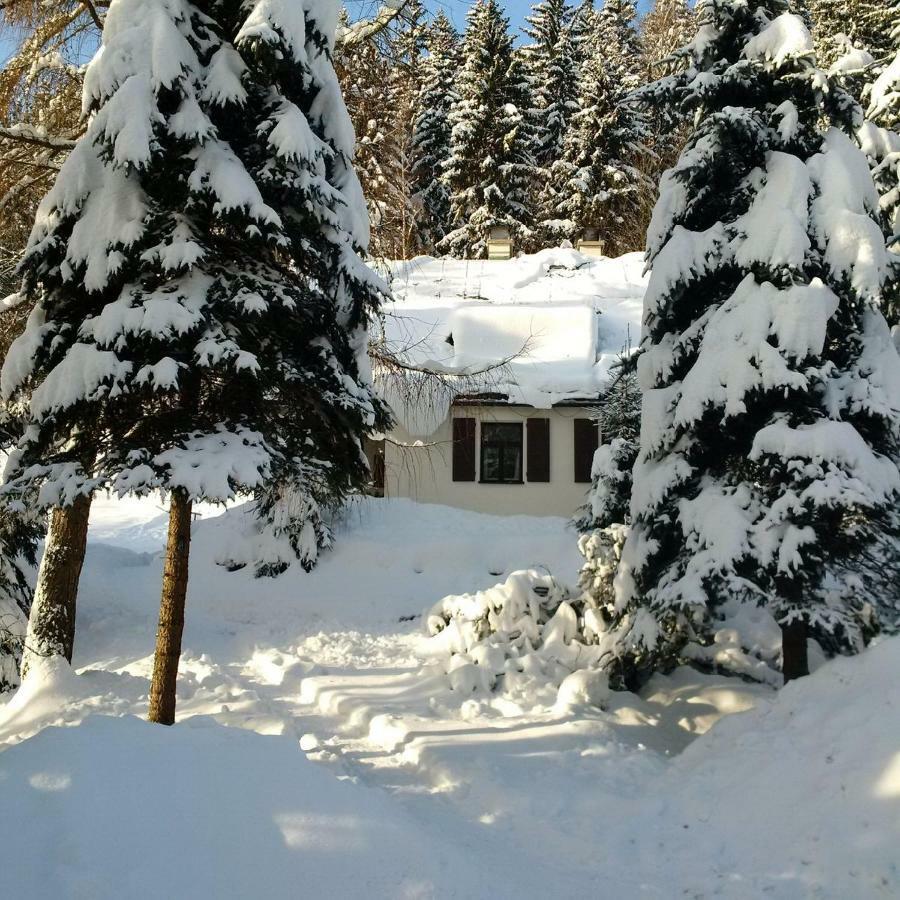 Orli Hnizdo Villa Černý Dŭl Dış mekan fotoğraf